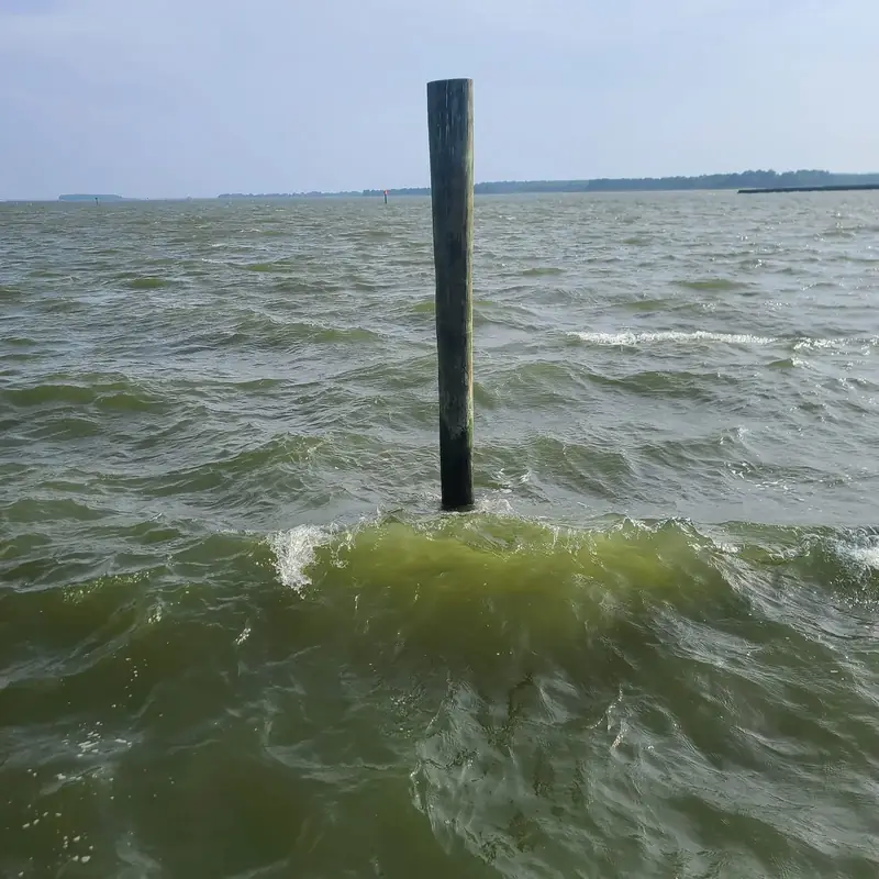 Bay water with a wooden piling and wave texture