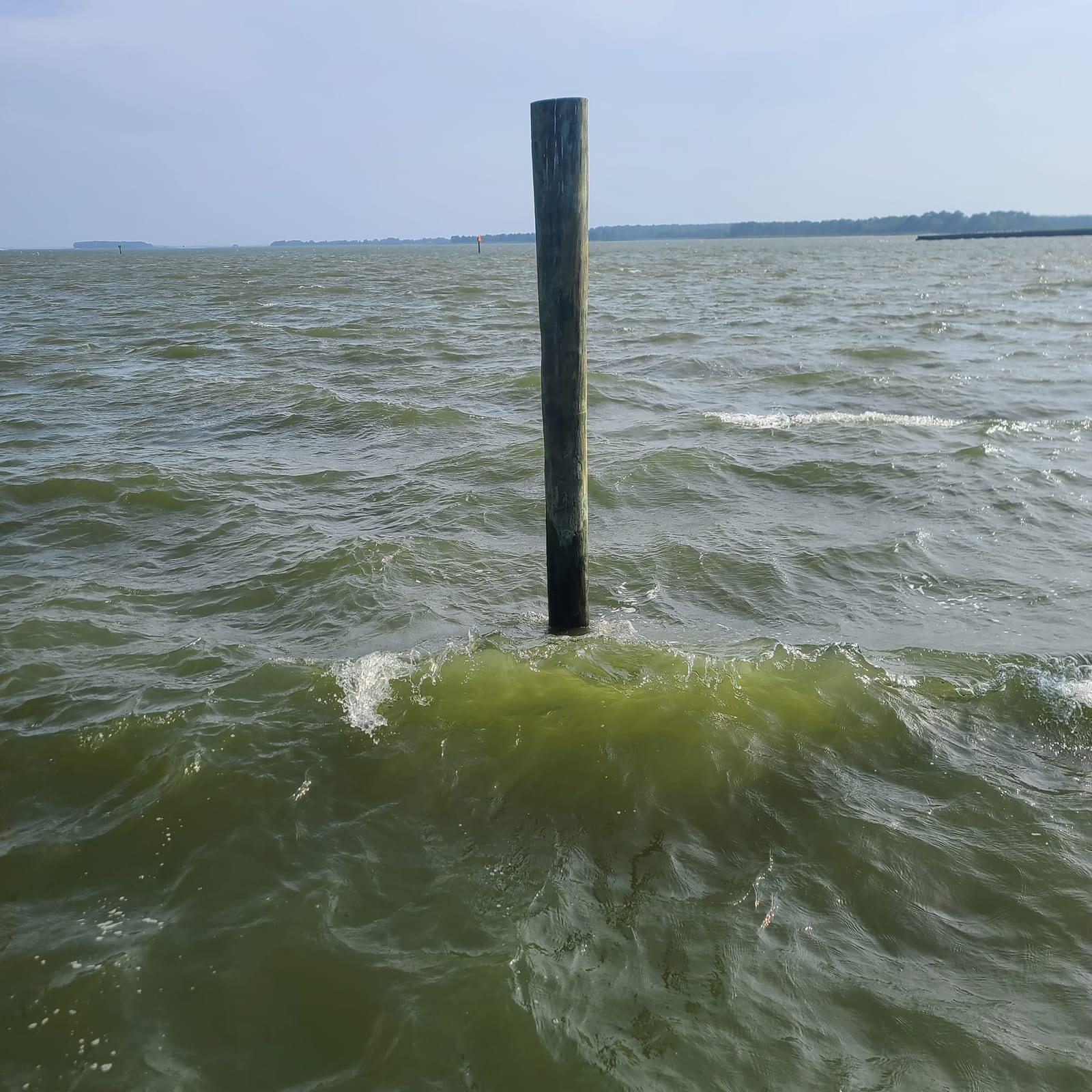 Bay water with a wooden piling in the center
