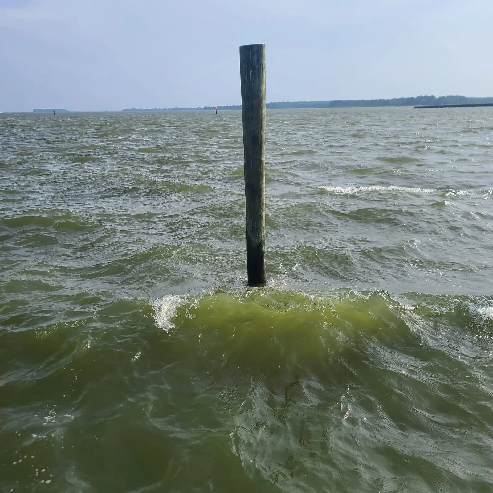 Bay water with a wooden piling and wave texture