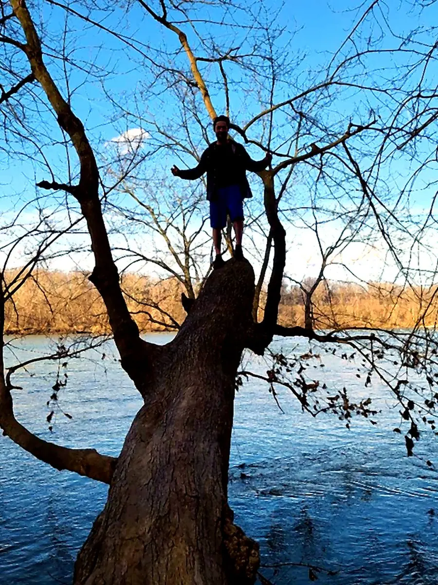 Person standing on a tree above a river