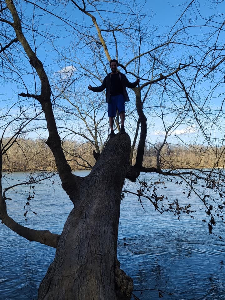 Person standing on a tree over a river