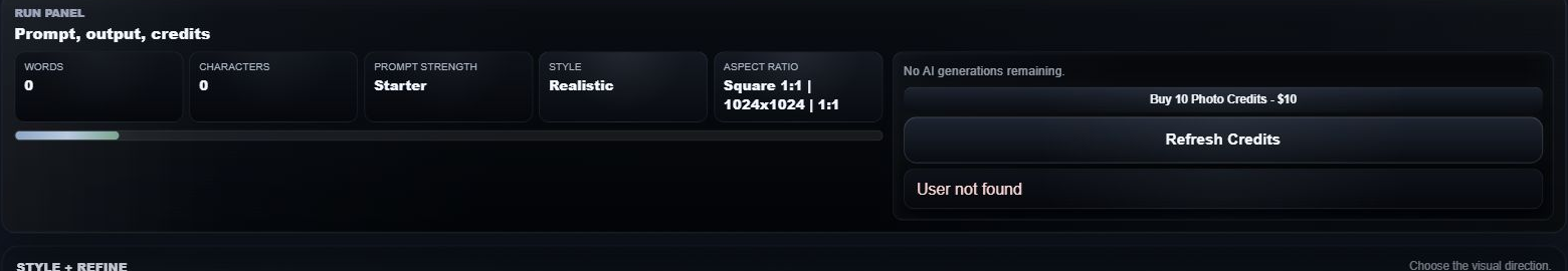 Run panel metrics with words, characters, strength, style, aspect, and credit state.