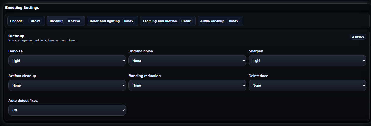 Video cleanup settings panel in MikeSullyTools